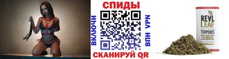 Купить закладки  Богданович  Бутират жидкий экстази 