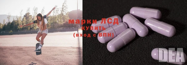 spice Инта