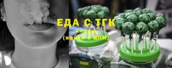 spice Инта