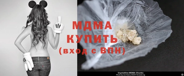 spice Инта