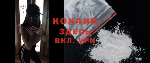 spice Инта