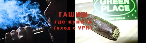 spice Инта