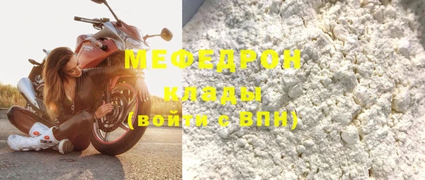 spice Инта