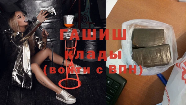 spice Инта