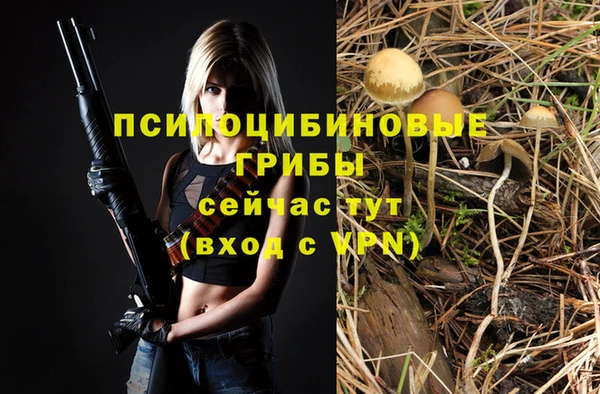 spice Инта