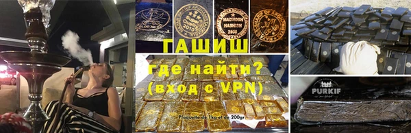 spice Инта