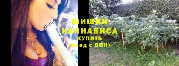 бошки Инсар