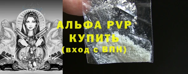 spice Инта